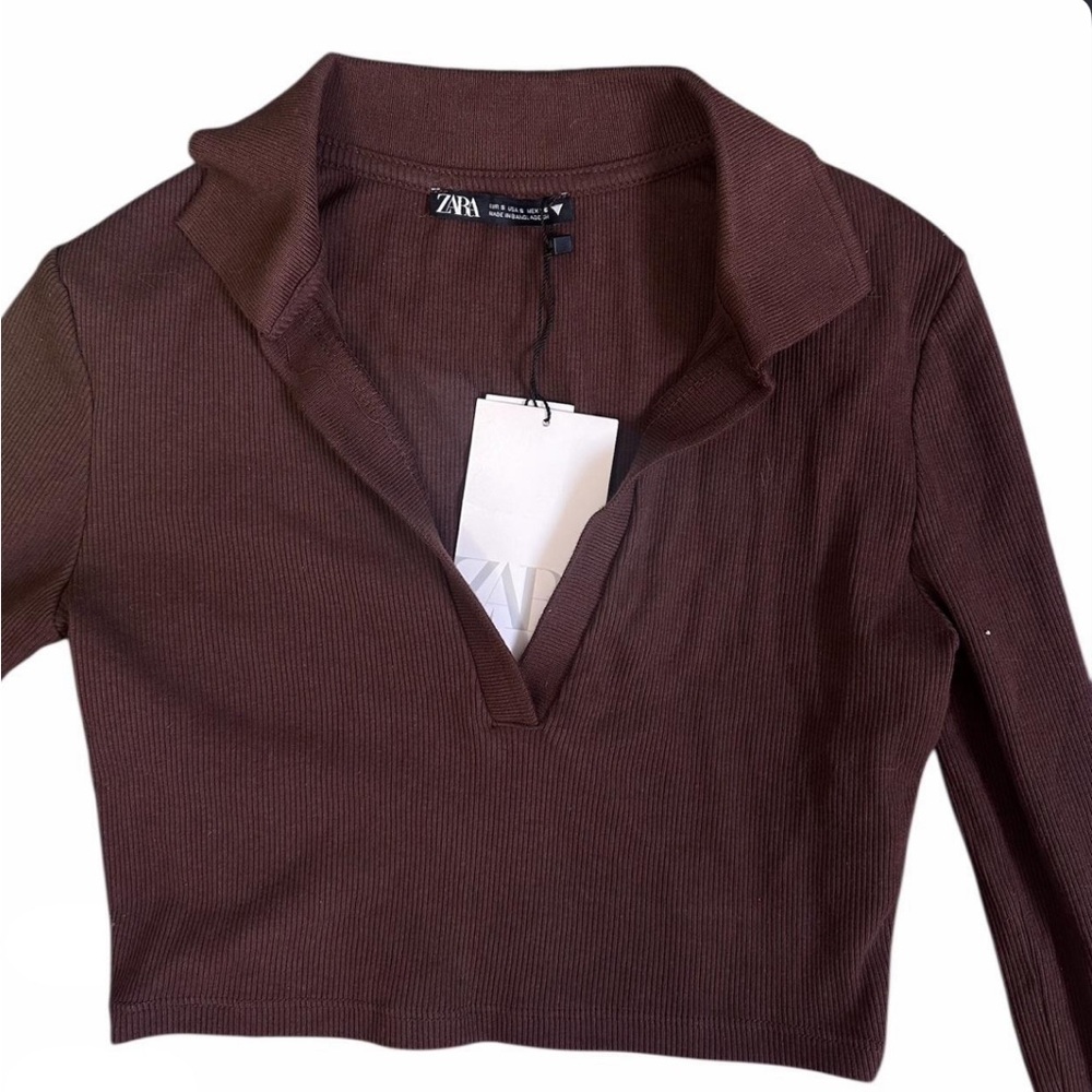 Zara Women's Chocolate Ribbed Crop Top